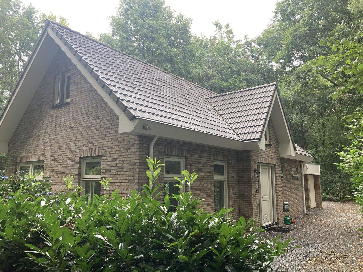 Afbeelding 1 van 10