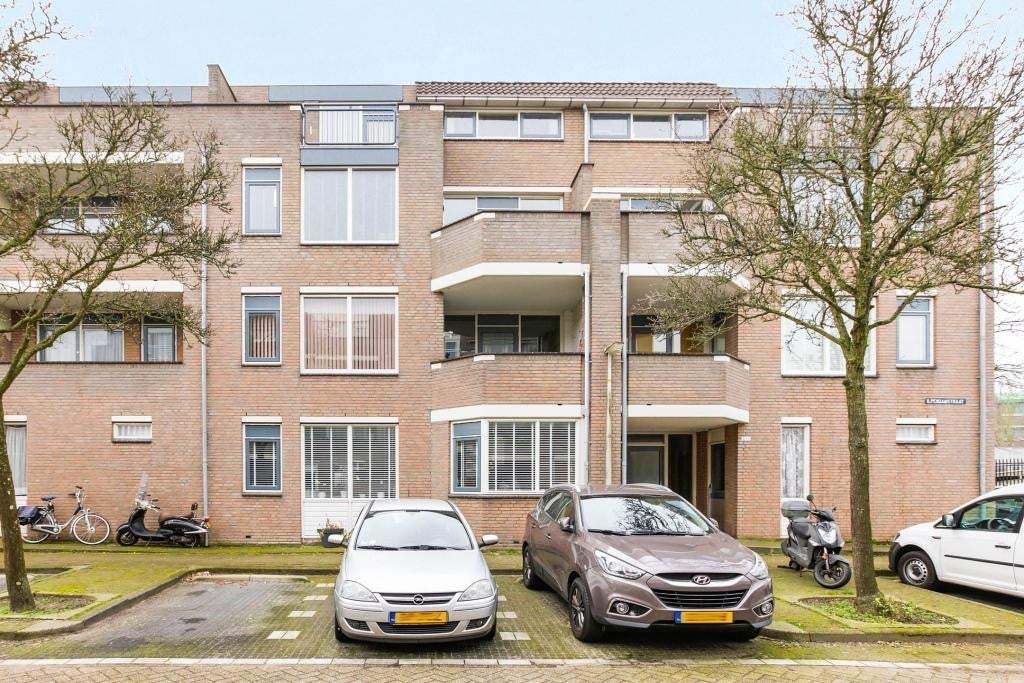Afbeelding 1 van 25
