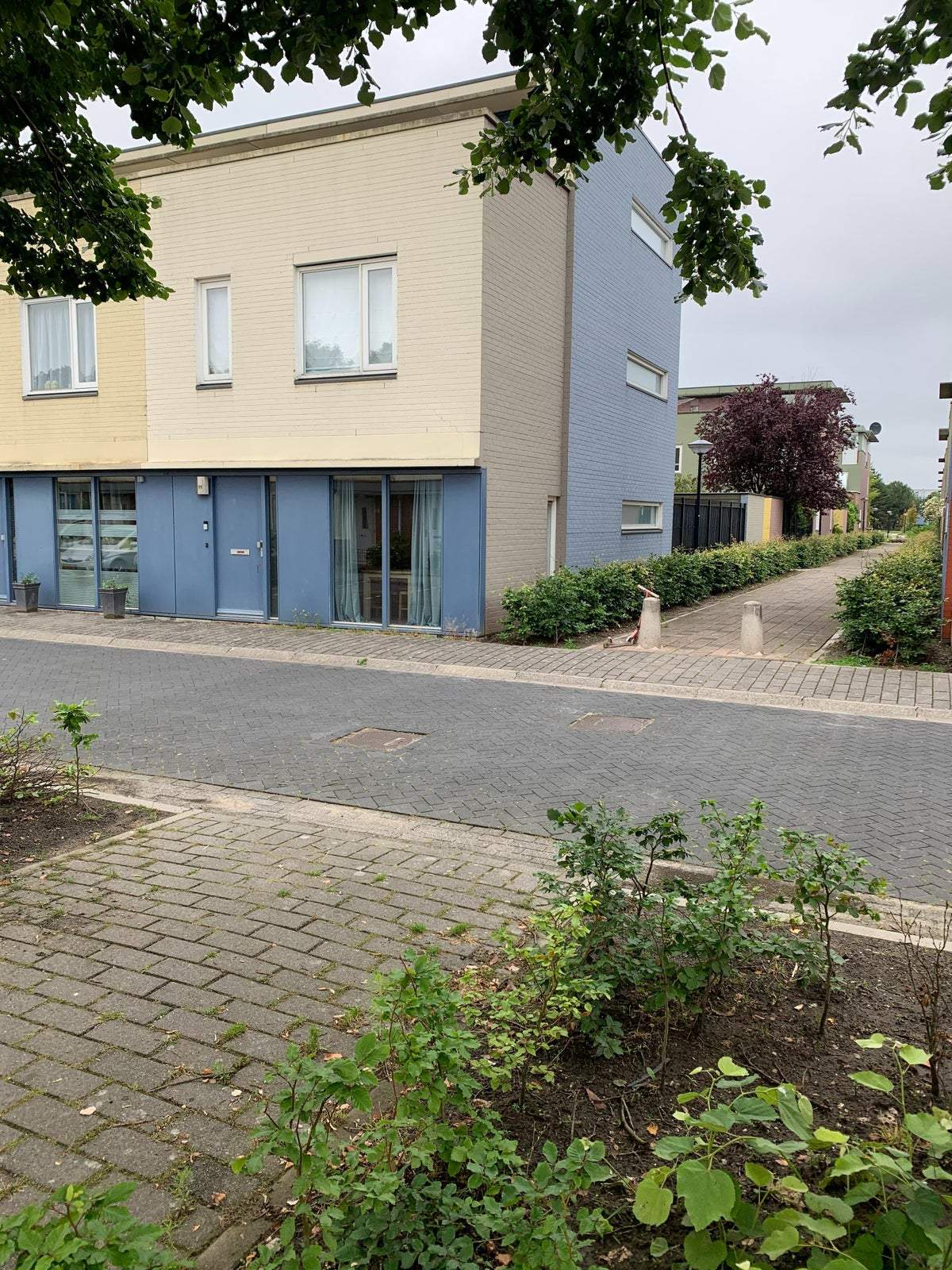 Afbeelding 1 van 21
