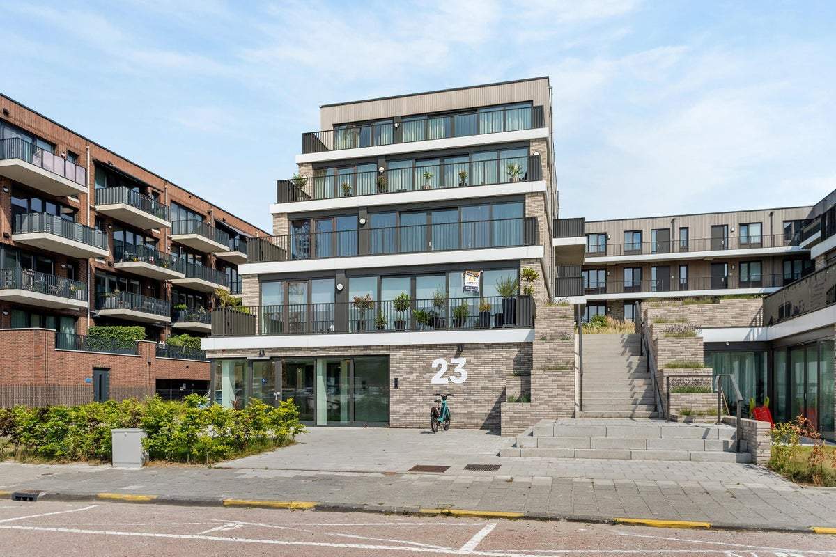 Afbeelding 1 van 44