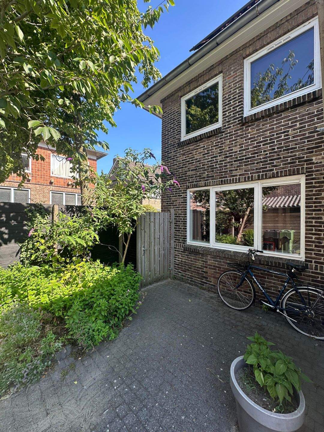 Image 11 of 12