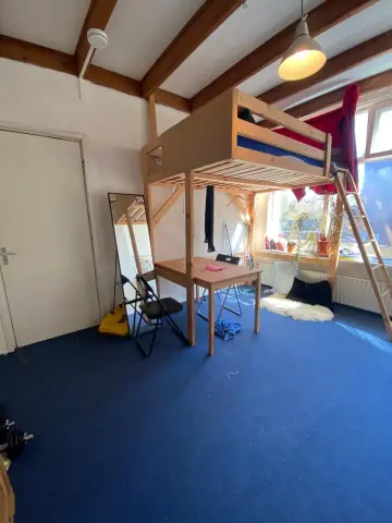 Room Prinsesseweg, Groningen - For Rent