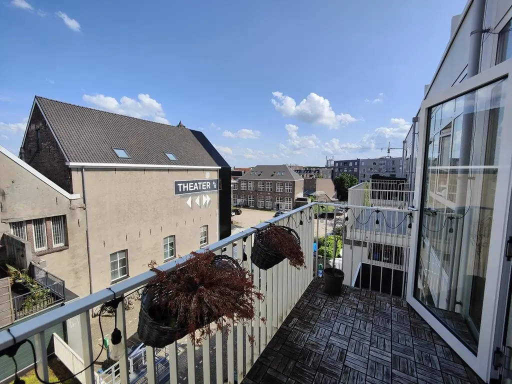 Image 12 of 12