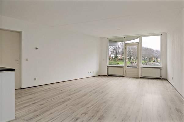 Bild 1 von 12