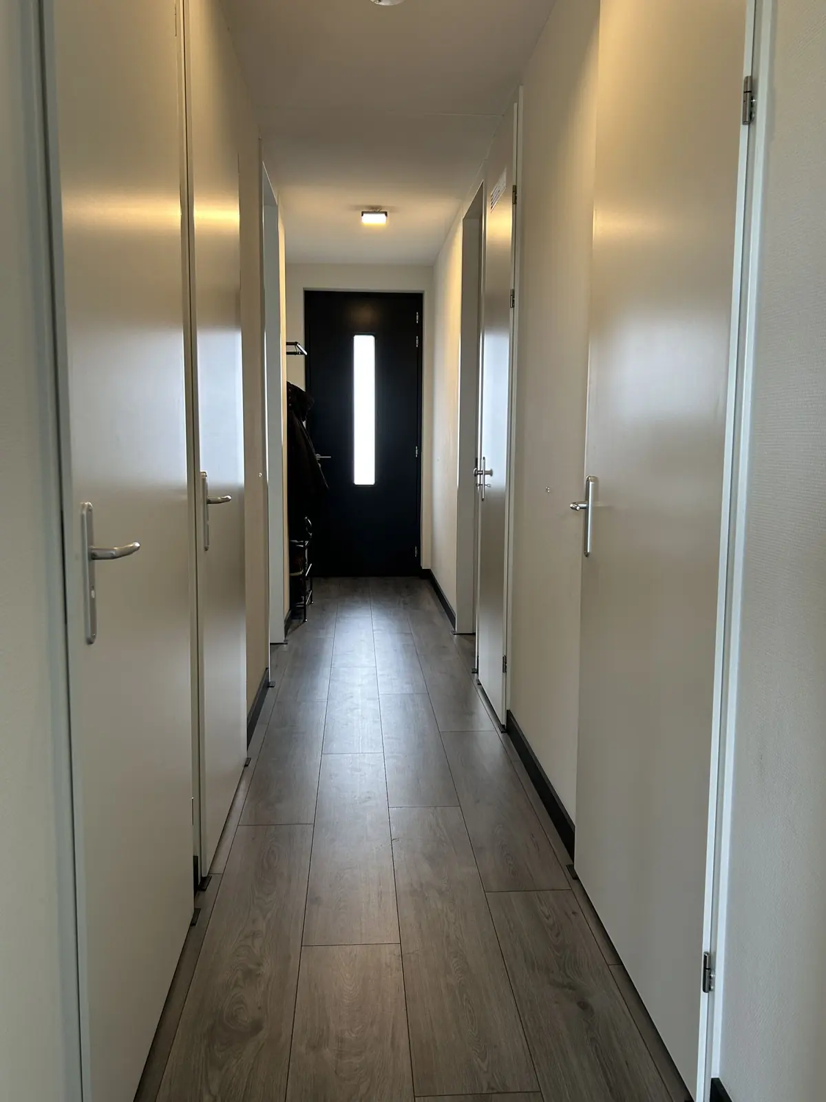 Image 3 of 6