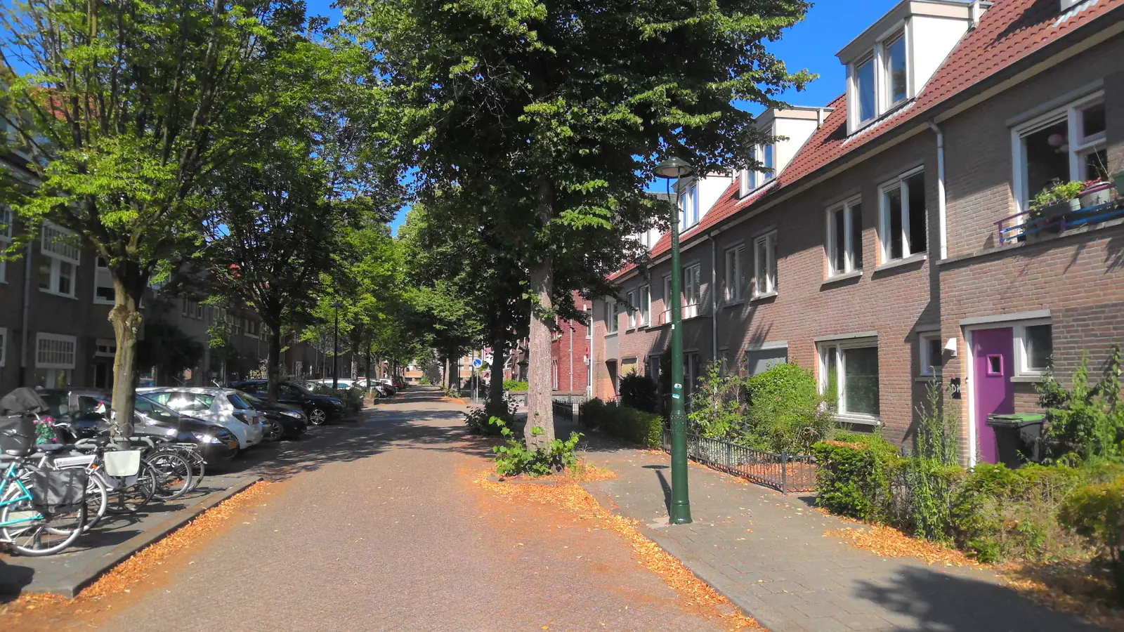Bild 6 von 9