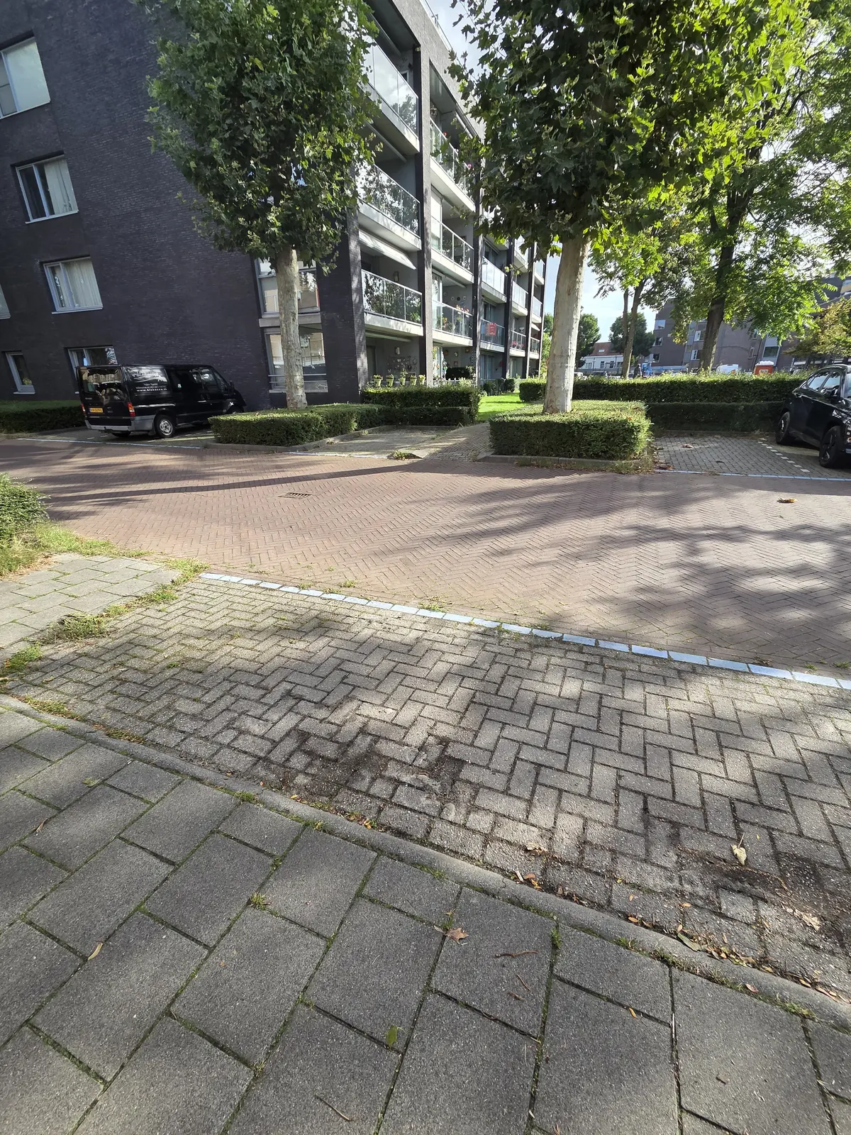 Afbeelding 11 van 15