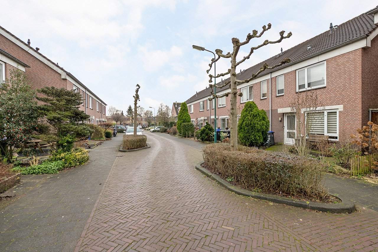 Afbeelding 2 van 13