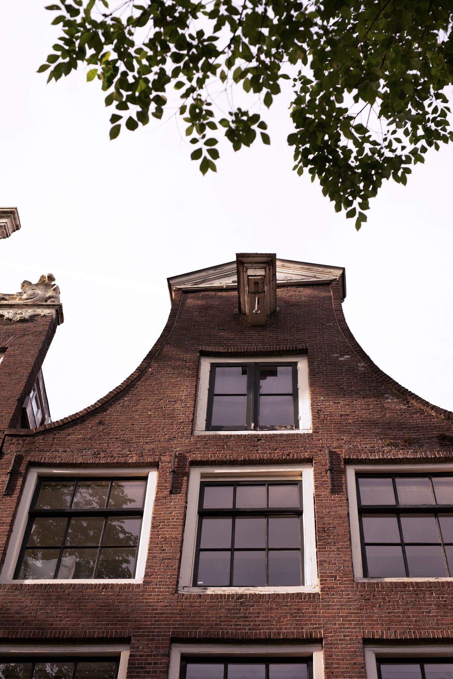 Afbeelding 2 van 12