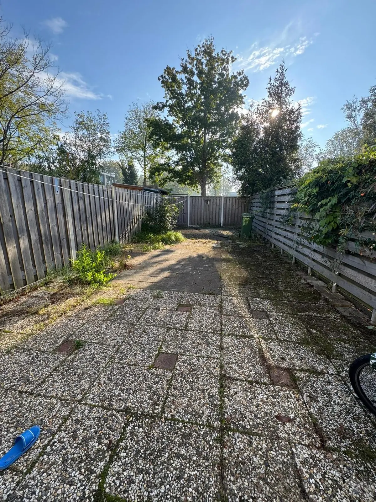 Image 12 of 12