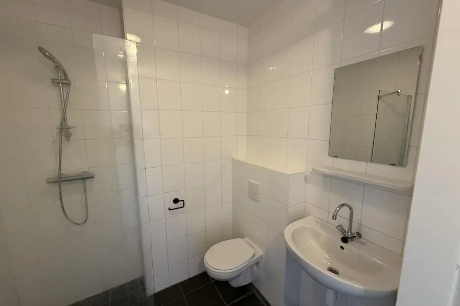 Image 16 of 20