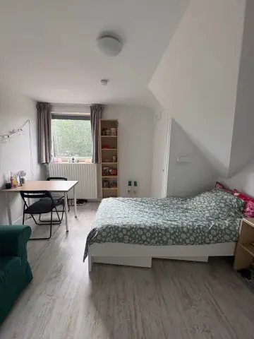 Kamer Van Heutszstraat, Nijmegen - Te Huur