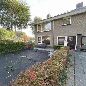 Afbeelding 2 van 3