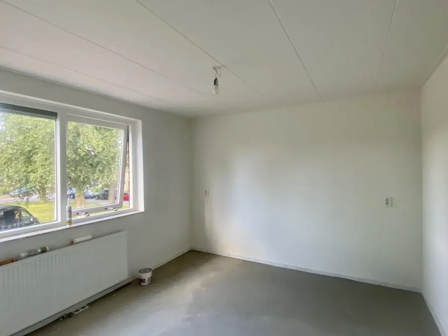 Image 6 of 15
