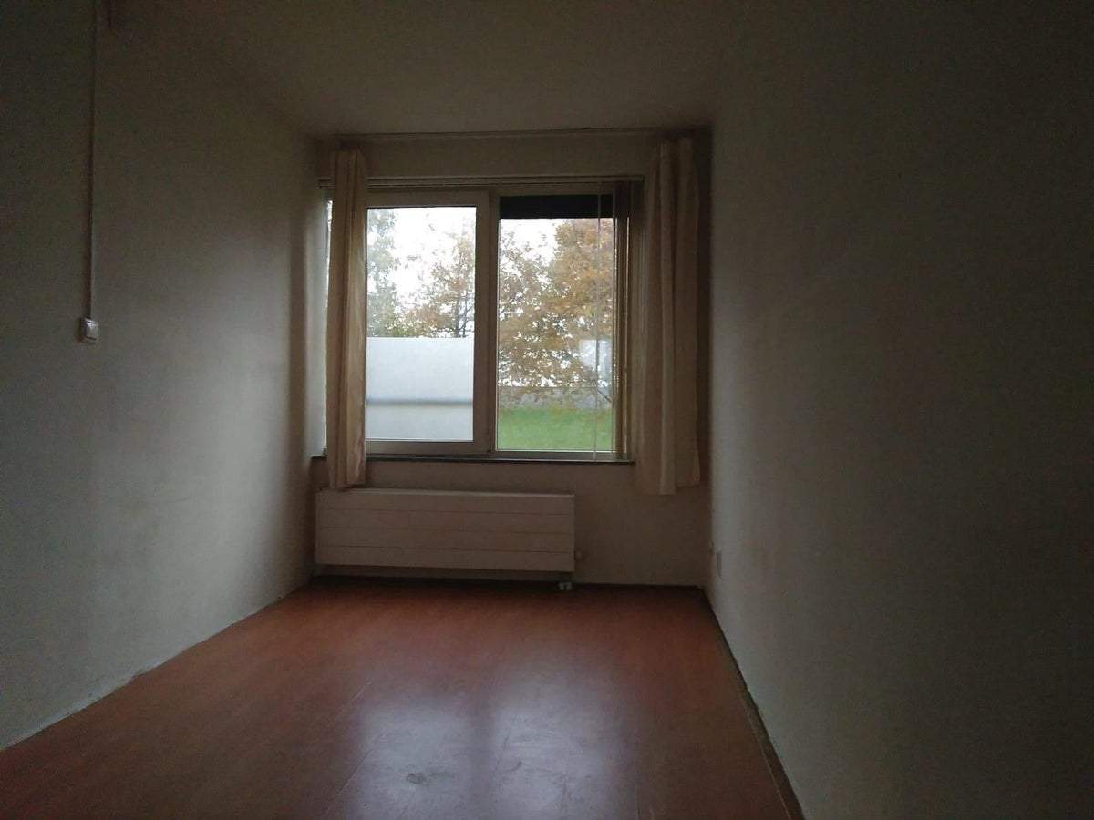 Bild 3 von 7