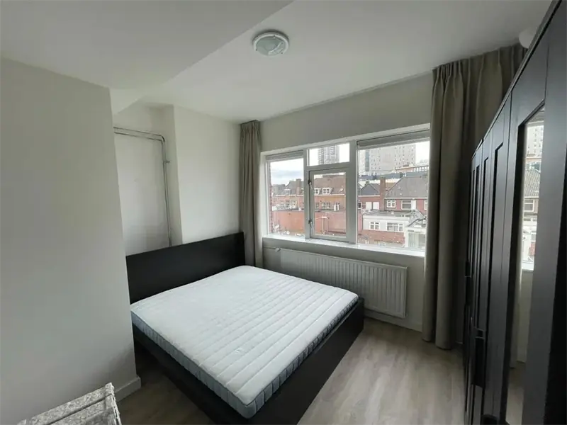 Image 11 of 12