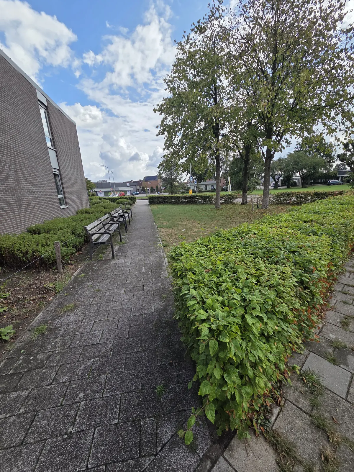 Image 4 of 13