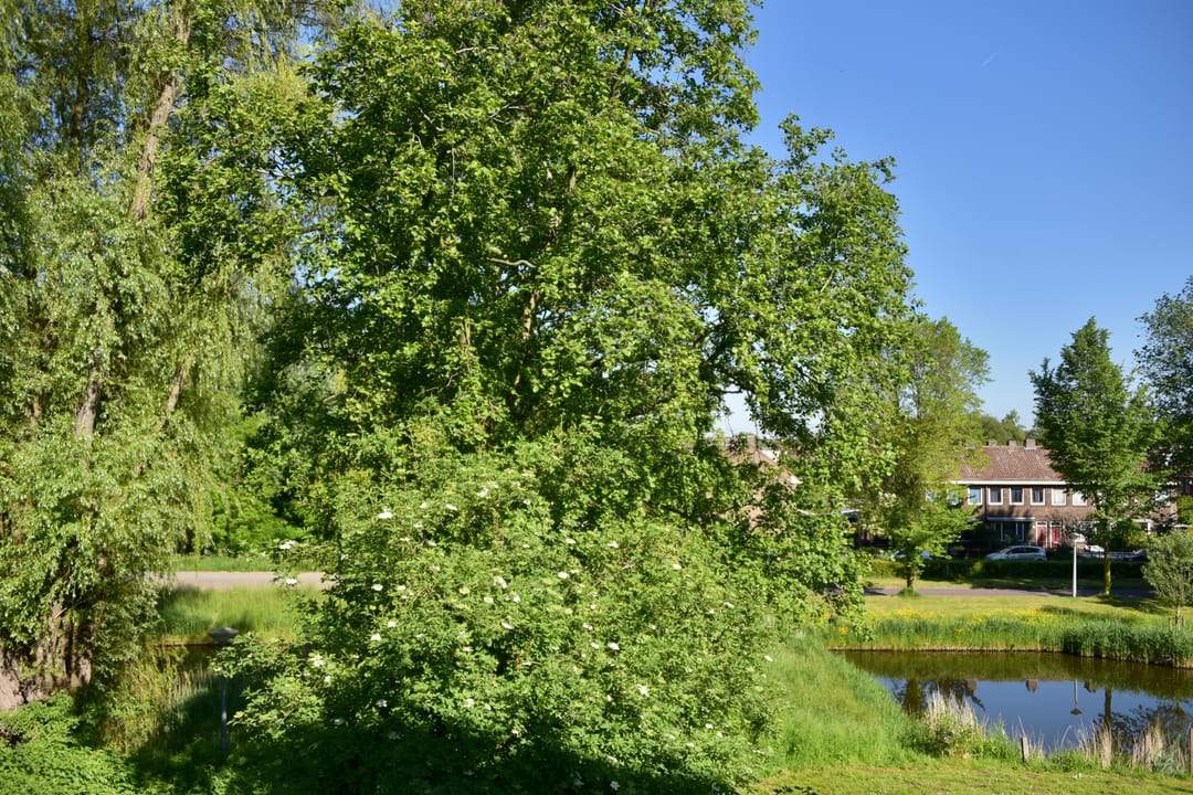 Afbeelding 16 van 25