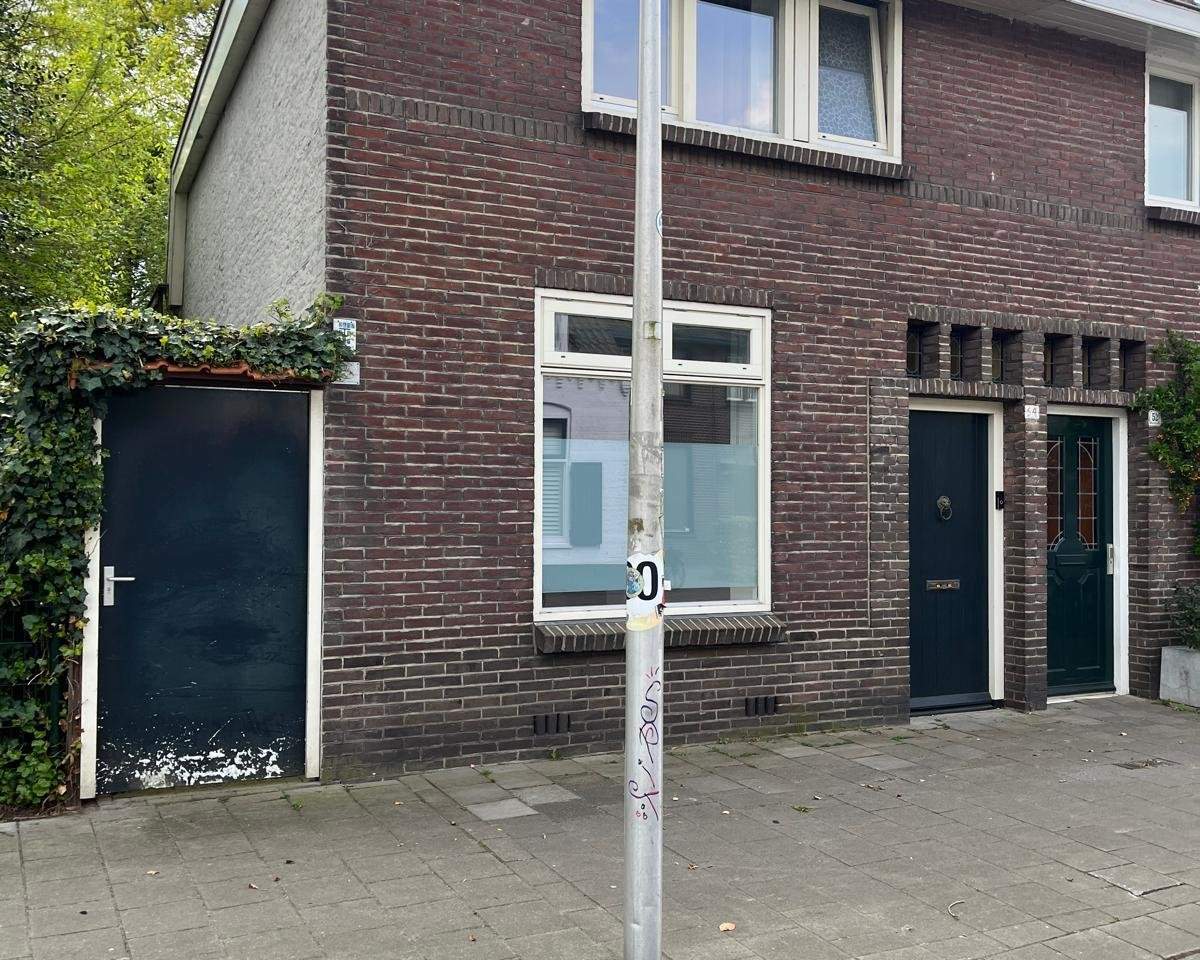 Afbeelding 1 van 12