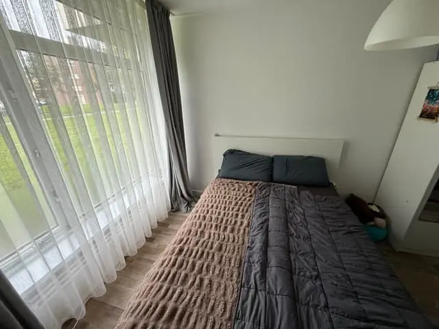 Afbeelding 8 van 10