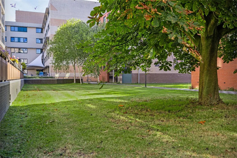 Image 24 of 26