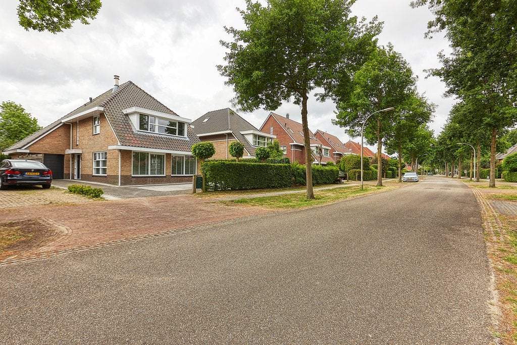 Afbeelding 1 van 29