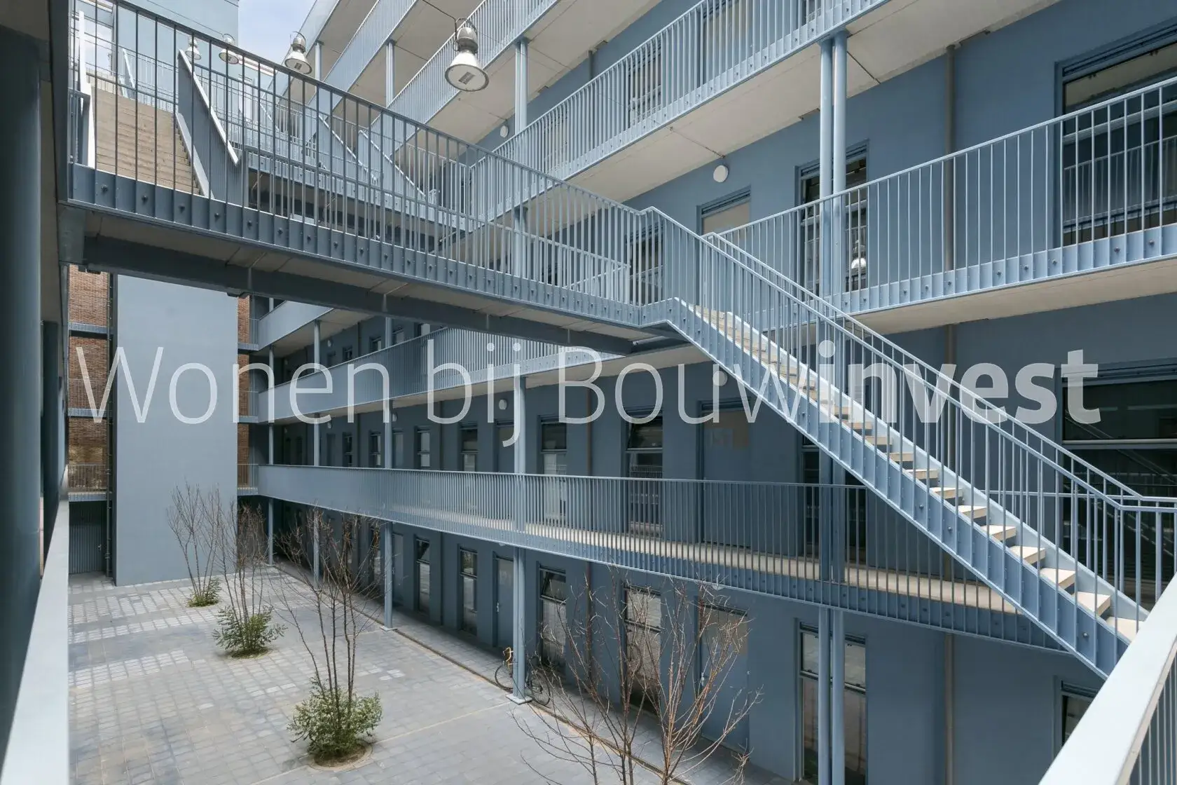 Image 8 of 9