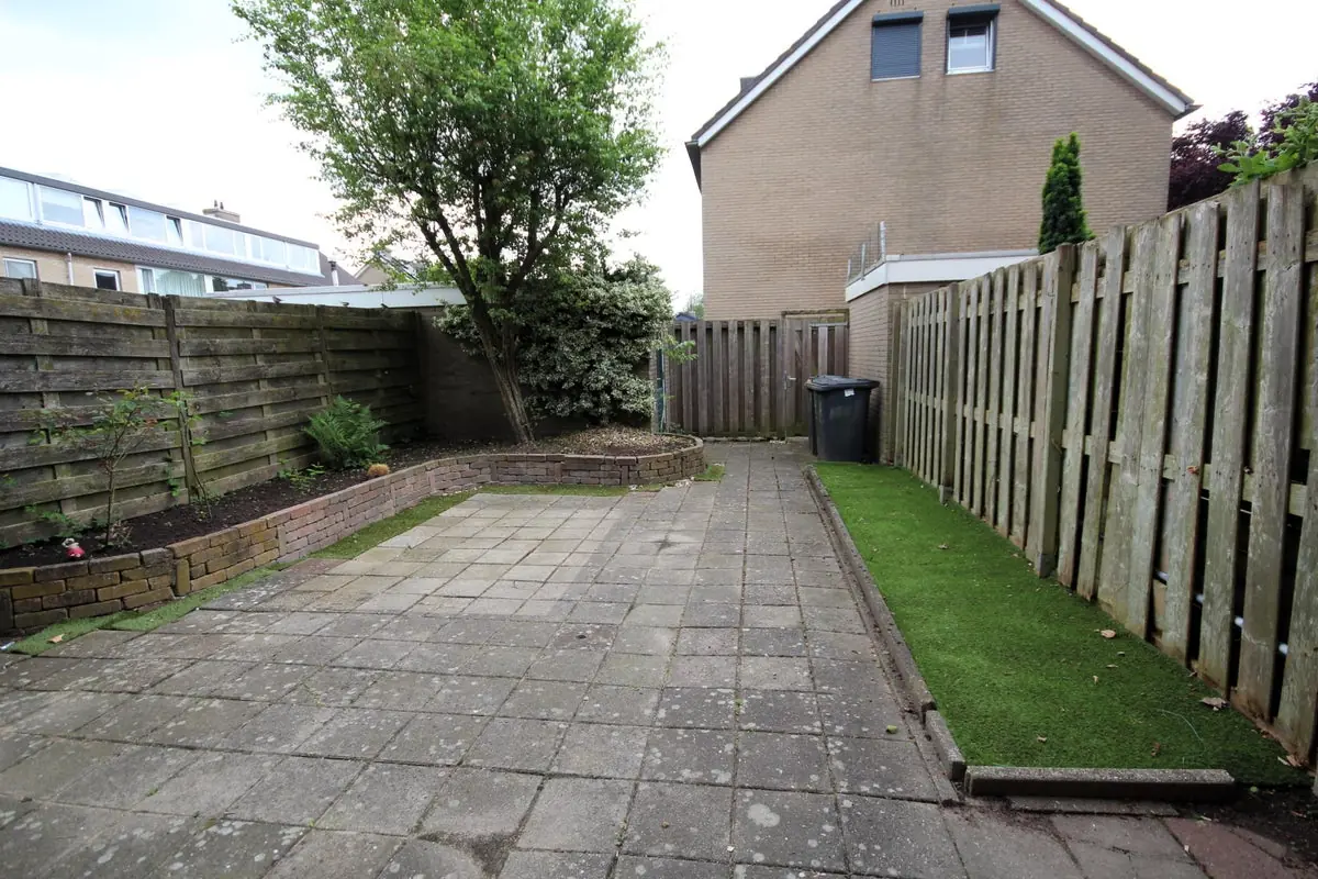 Image 11 of 38