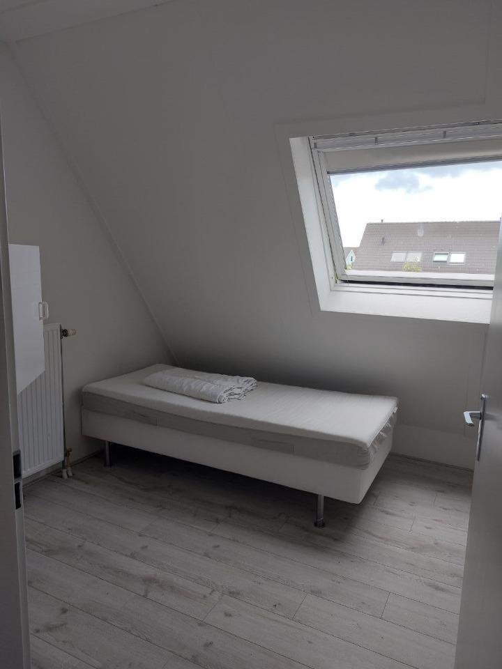 Afbeelding 1 van 1