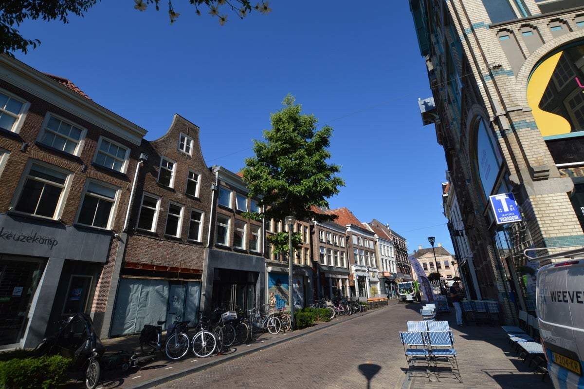 Afbeelding 3 van 16