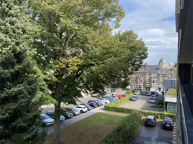 Image 4 of 21