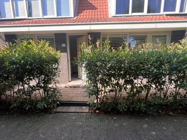 Afbeelding 4 van 20