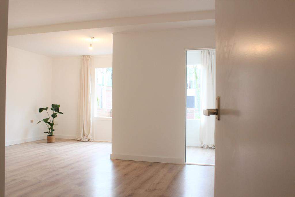 Image 2 of 12