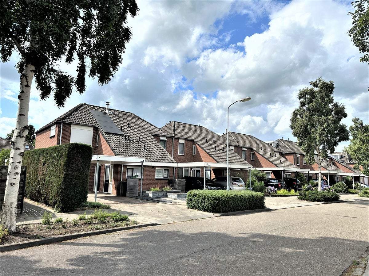 Afbeelding 1 van 26