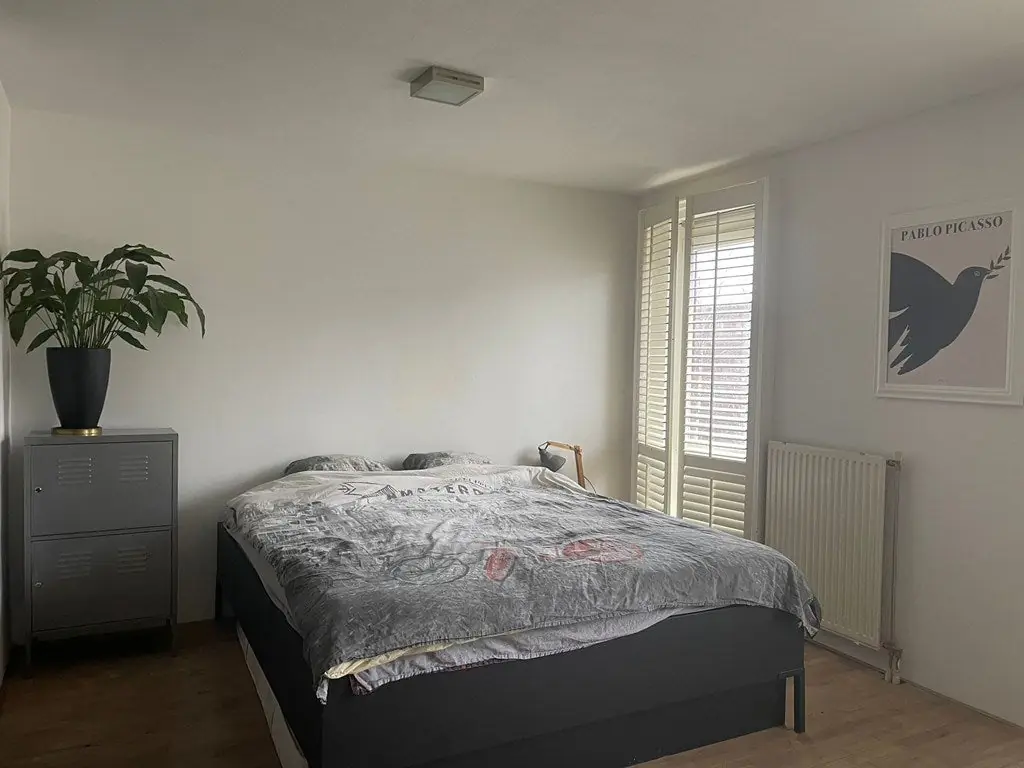 Image 12 sur 21