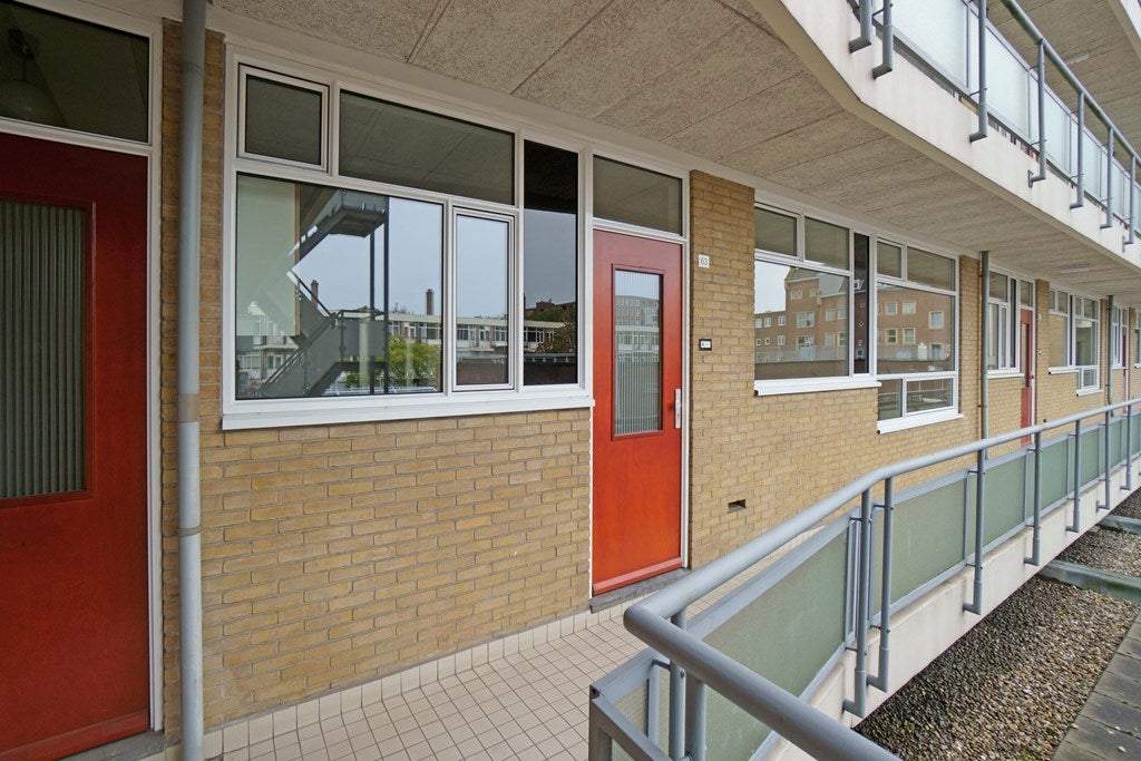 Afbeelding 3 van 43