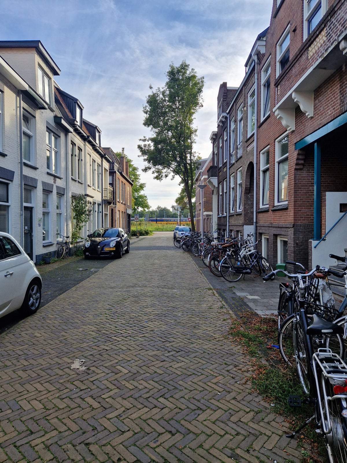 Afbeelding 2 van 10