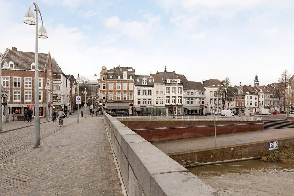 Afbeelding 1 van 12