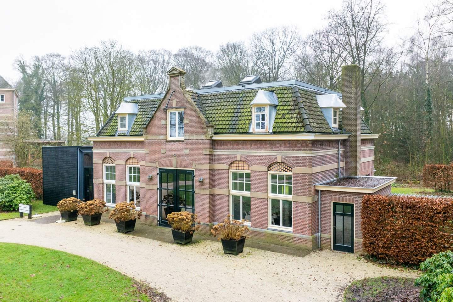 Afbeelding 1 van 12