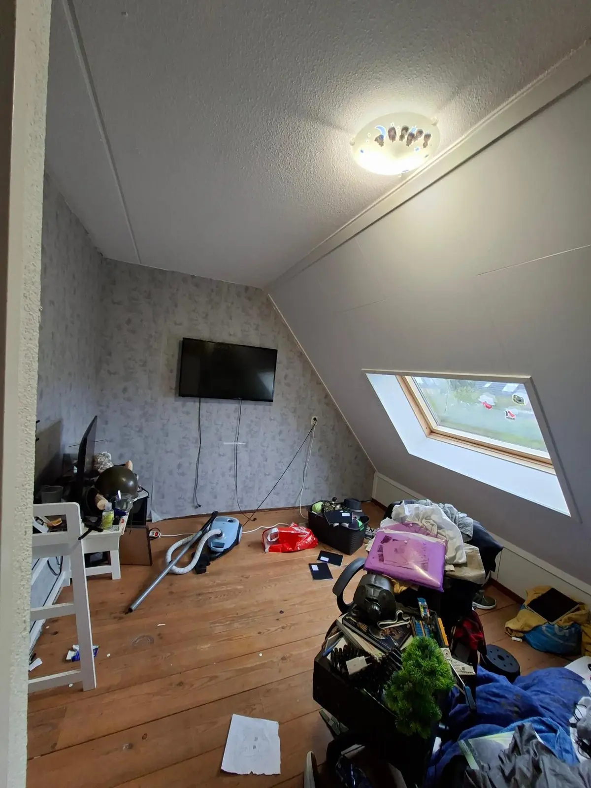 Afbeelding 7 van 10