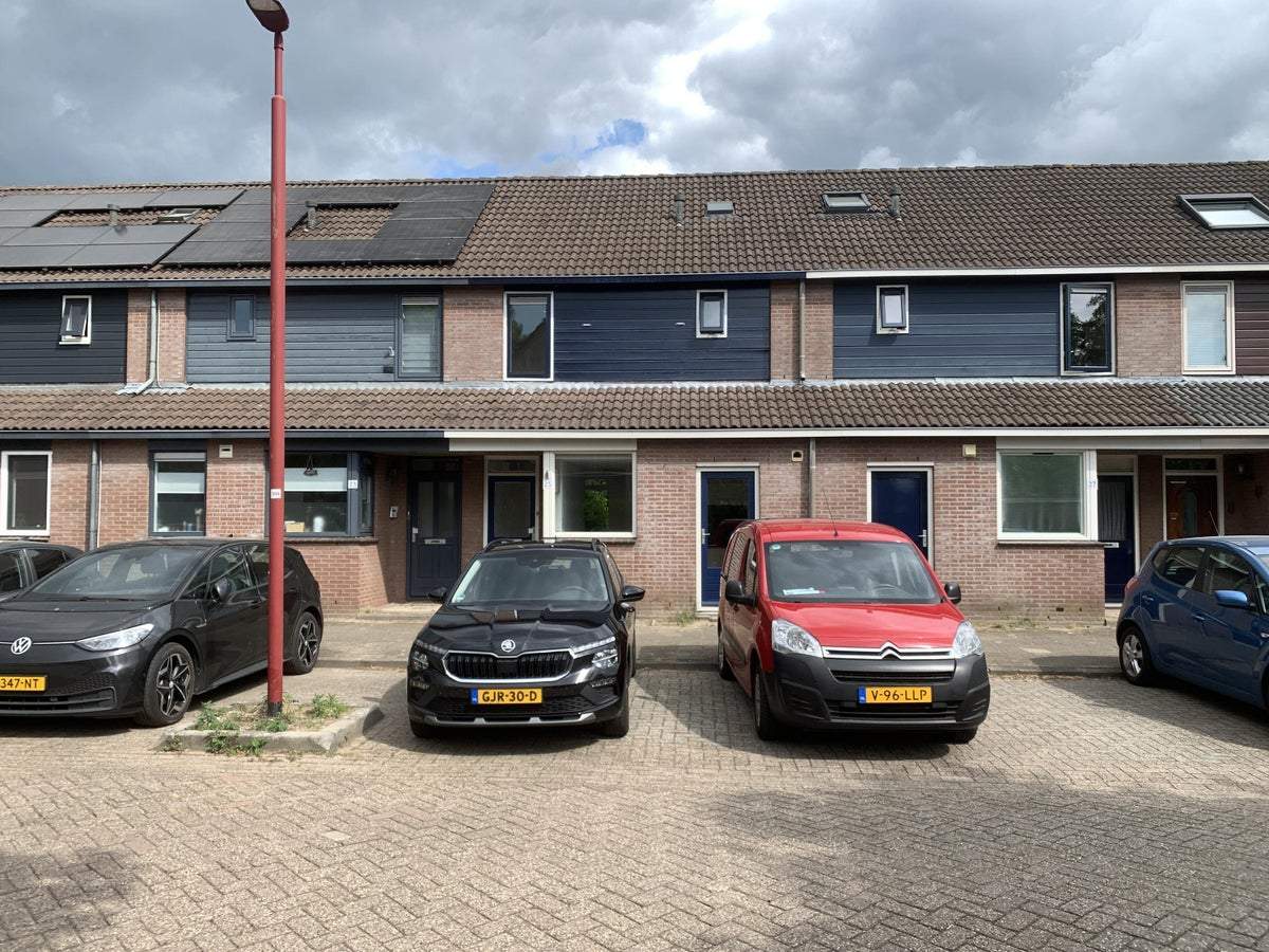 Afbeelding 2 van 22
