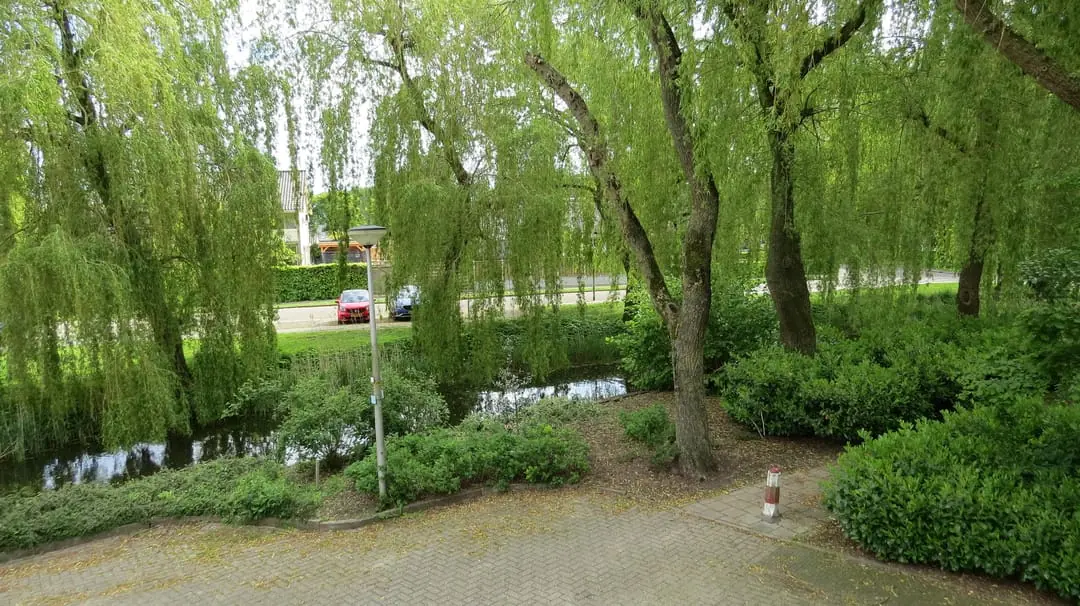 Afbeelding 16 van 21