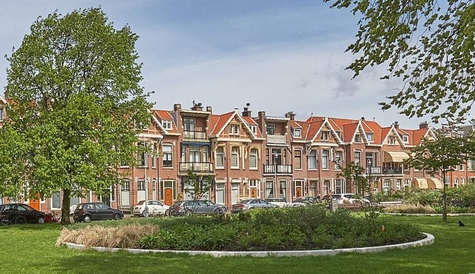 Afbeelding 1 van 36