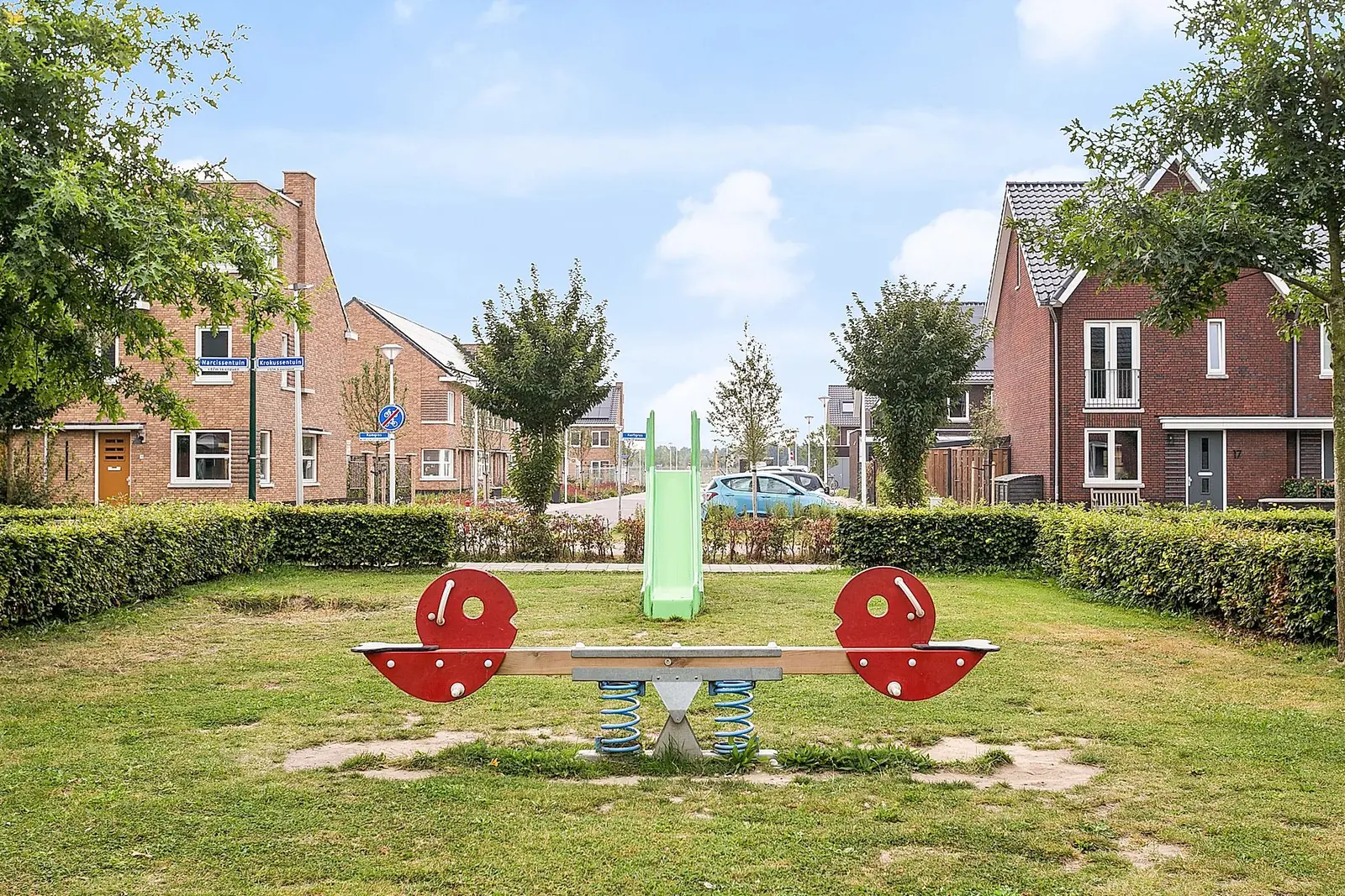Imagen 3 de 8