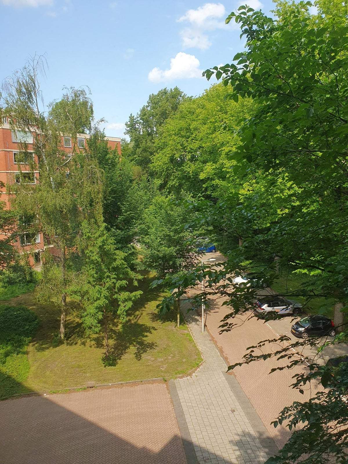 Afbeelding 2 van 15