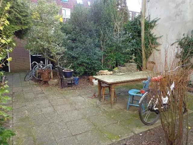 Afbeelding 3 van 14
