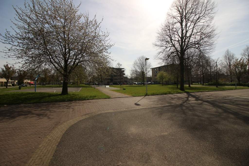 Image 27 of 29