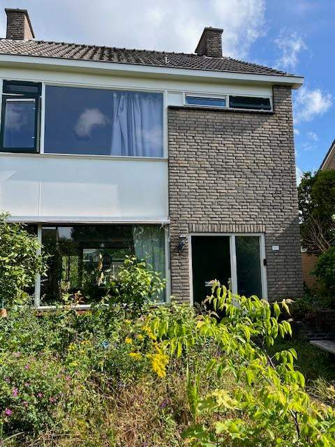 Afbeelding 1 van 8