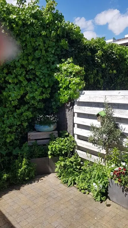 Image 12 of 21