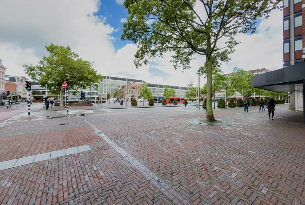 Image 19 of 20